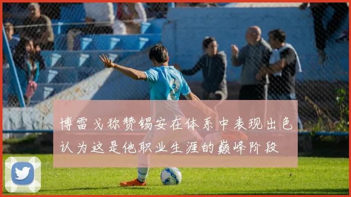 博雷戈称赞锡安在体系中表现出色认为这是他职业生涯的巅峰阶段
